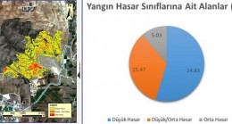Harran Üniversitesi’nden Orman Yangınları ile İlgili Önemli Rapor