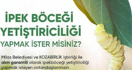 Milas Belediyesi İpek Böceği Yetiştiriciliğini Teşvik Ediyor
