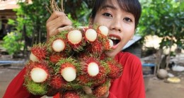 Uzakdoğudan yeni bir şifalı meyve keşfi daha: Rambutan Meyvesi