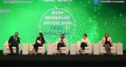 Türkiye'deki iş dünyası liderleri “yeşil dönüşüm"ü sahipleniyor