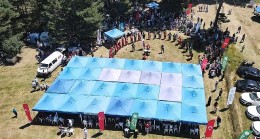 İznik Maviyemiş Festivali'ne yoğun ilgi