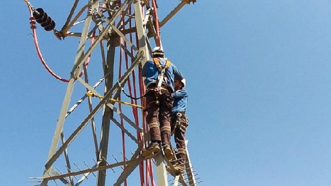 Fırat EDAŞ’ın ‘Özgür Kuşlar’ projesiyle göçmen kuşlar güvende