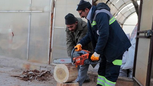 Budanan Ağaçlar İhtiyaç Sahiplerine Yakacak Oluyor