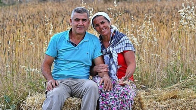 İzmir’de karakılçık buğdayı eken üreticinin yüzü güldü