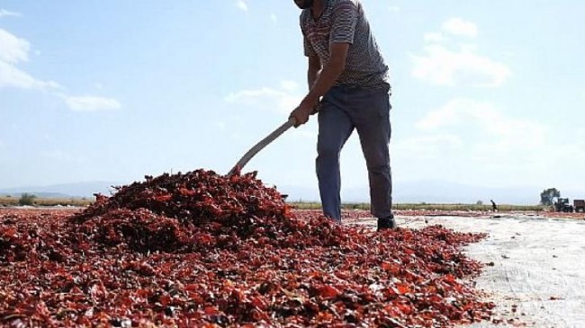 Mustafakemalpaşa Dünya Mutfaklarında