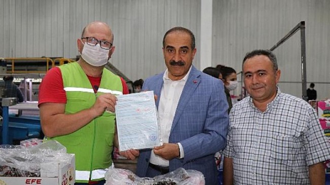 Kemalpaşa’da kiraz ve yaş meyve sebze ihracatına inspektör desteği