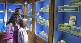 Deniz Biyoloji Müzesi'ndeki balıklar yenilenecek