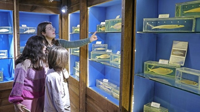 Deniz Biyoloji Müzesi'ndeki balıklar yenilenecek