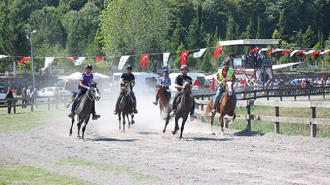 Rahvan at yarışçıları Gölcük'te buluşuyor