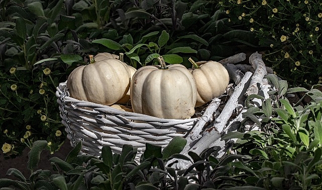 Türk mutfağını koruma ve geleceğe aktarma misyonuyla 2012 yılından bu