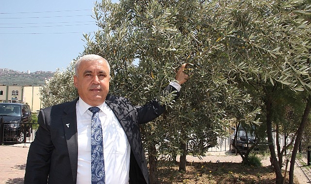 Türkiye, 2023/24 sezonunun ilk 4 aylık döneminde sofralık zeytin ihracatını