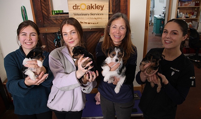 'Yukon Veterineri: Kadınların Öyküleri Özel' 8 Mayıs Çarşamba Günü 20.00'de National Geographic WILD Ekranlarında!