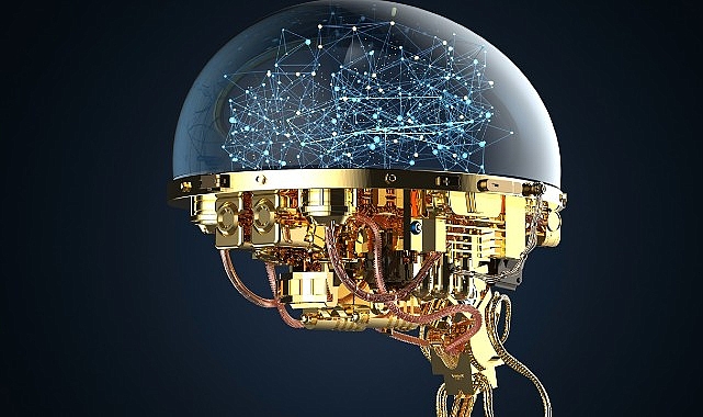 2021 yılından bu yana yerli ve özgün eğitim programlarını veri