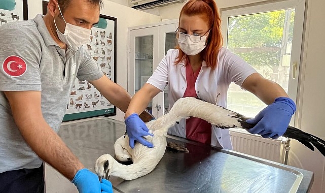 Osmangazi Belediyesi,  Nilüferköy Mahallesi’nde yer alan Merkez Cami’nin içerisine giren