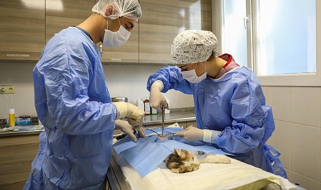 Buca’da can dostlarının kontrolsüz bir şekilde üremesinin önüne geçmek amacıyla