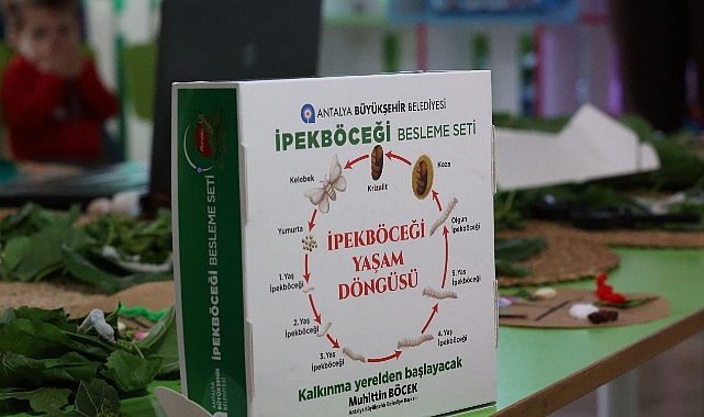 Antalya Büyükşehir Belediyesi, ipek böcekçiliğinin Antalya’da yaygınlaştırılması ve tanıtılması için