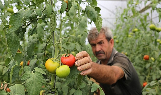 Büyükşehir Belediyesi, “Seracılığı Geliştirme Projesi” kapsamında çiftçilere yüzde 50 hibeli