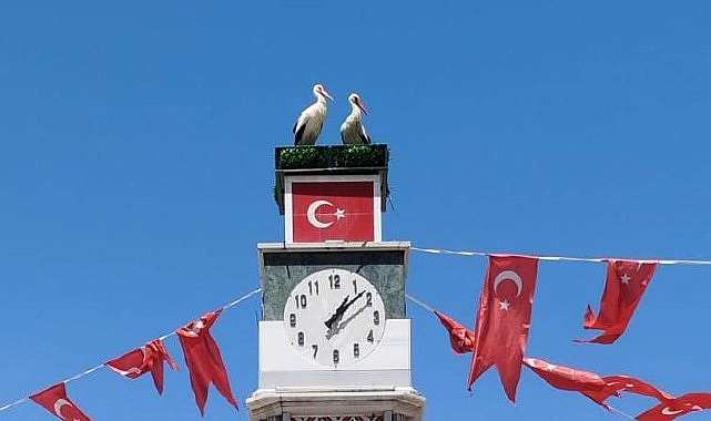 Bursa'nın İznik ilçesinde yürek ısıtan bir doğa olayı yaşandı.