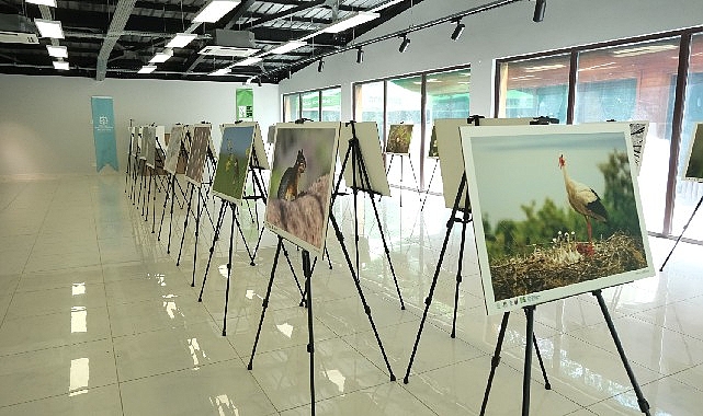 Kocaeli Büyükşehir Belediyesi ile Türkiye’nin önde gelen fotoğraf derneklerinin iş