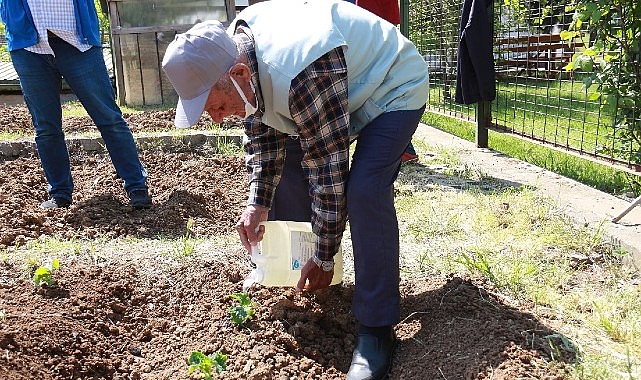 İBB, 2022 yılında başlattığı ‘Halk Bostanları’ projesine devam ediyor.