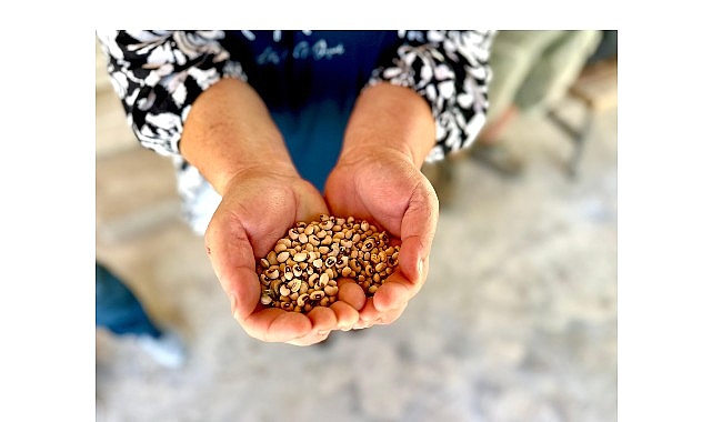 Urla Belediyesi, üreticiye verdiği sözü tutmaya devam ediyor.