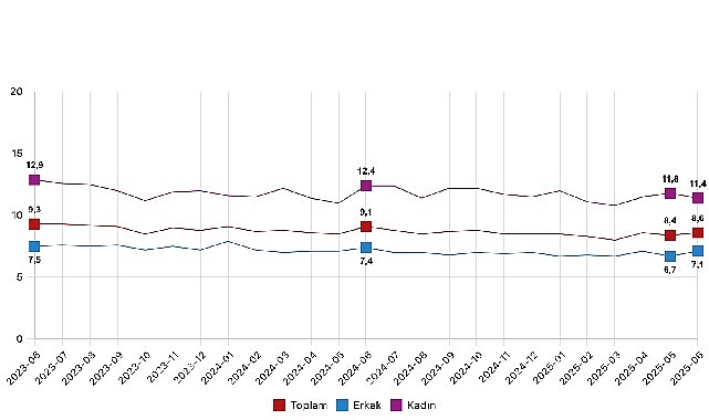 Hanehalkı İşgücü Araştırması sonuçlarına göre; 15 ve daha yukarı yaştaki