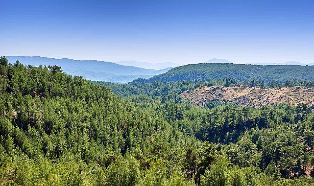 ALJ Türkiye, iklim değişikliği ile mücadele ve son yıllarda artan