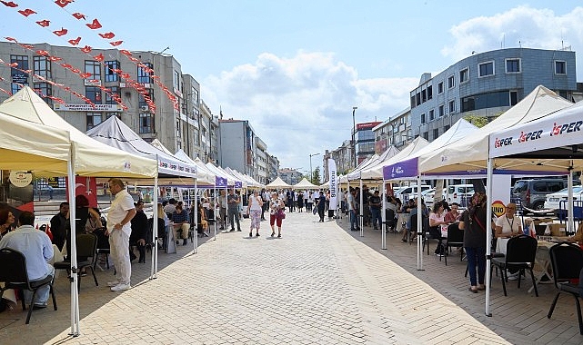 İstanbul Büyükşehir Belediyesi (İBB) Bölgesel İstihdam Ofisleri'nin, Maltepe Belediyesi iş