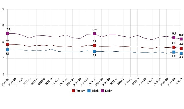      Hanehalkı İşgücü Araştırması sonuçlarına göre; 15