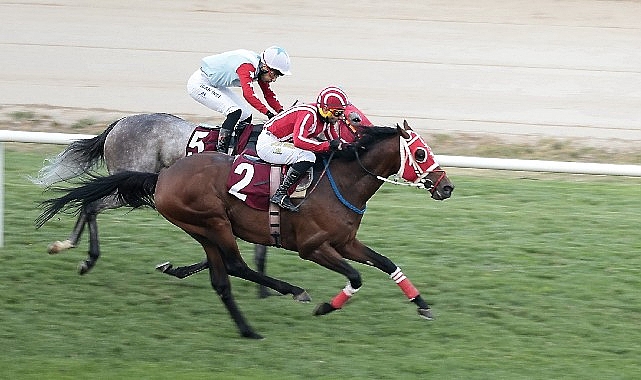 Konak Belediye Başkanlığı Koşusu, İzmir Şirinyer Hipodromu’nda heyecan dolu anlar