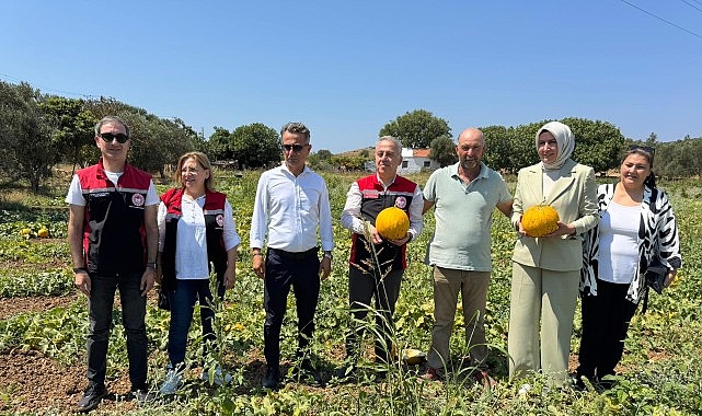 Çeşme Yarımadasında geleneksel olarak üretilen, tadı ve aromasıyla meşhur Çeşme