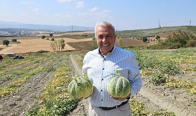Nilüfer Belediye Başkanı Şadi Özdemir, Konaklı Mahallesi’nde kavun üreticilerini ziyaret