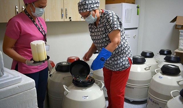 Ege Üniversitesi Tıp Fakültesi (EÜTF) Hastanesi Üremeye Yardımcı Teknikler Merkezi