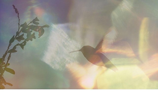 Yapı Kredi bomontiada’nın 2017 yılından bu yana düzenlediği “Açık Havada