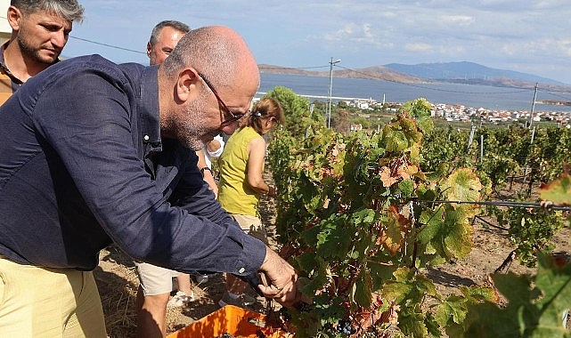 Marmara Adalar Belediyesi tarafından 6–7 Eylül tarihlerinde düzenlenecek “Bir Başkadır Avşa” etkinliğiyle