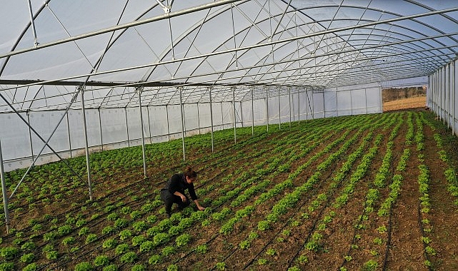 Kocaeli Büyükşehir Belediyesi, tarımsal üretimi artırmak ve kırsal kalkınmayı desteklemek