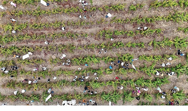 Türkiye’nin öne çıkan öno-turizm destinasyonları arasına girme yolunda önemli bir