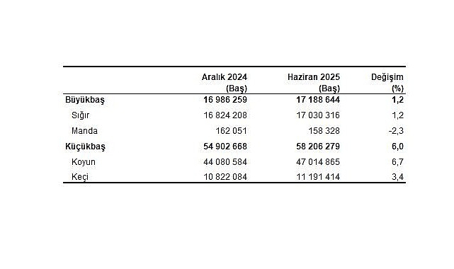 Bu haber bülteninde yer alan verilerin toplanması, işlenmesi ve yayına