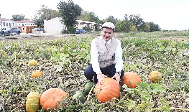  Osmangazi Belediyesi iştiraki olan  Gazi Tarım A.