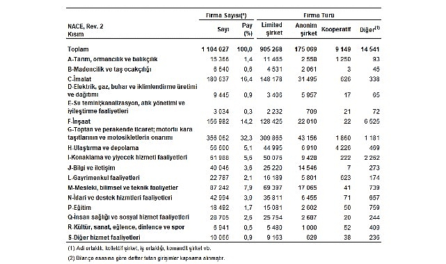 En fazla firma toptan ve perakende ticaret; motorlu kara taşıtlarının