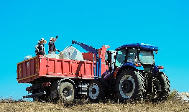 Kocaeli Büyükşehir Belediyesi, katma değeri yüksek tıbbi ve aromatik bitki