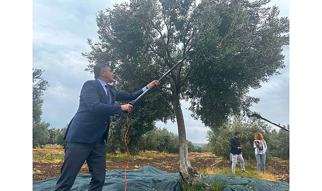 Aliağa’da zeytin ve zeytinyağı kültürünün yaşatılması, üreticilerin desteklenmesi ve bölge