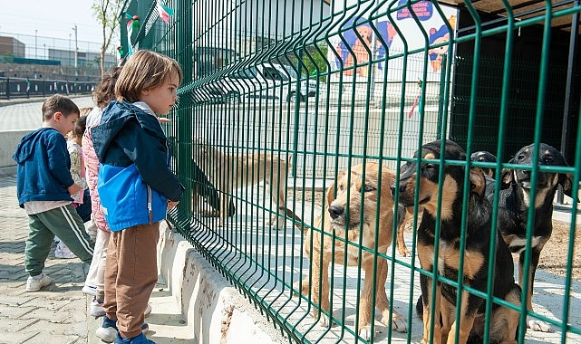 Karşıyaka Belediyesi’nin kısa süre önce hizmete açtığı Bakioğlu Can Dostlarımız