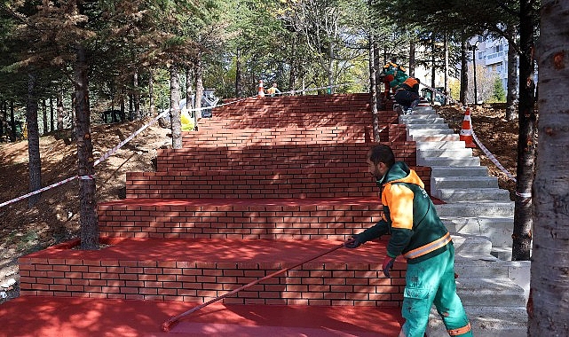 Çankaya Belediyesi’nin içerisinde Emekli Lokali, Kent Bostanı ve spor alanları