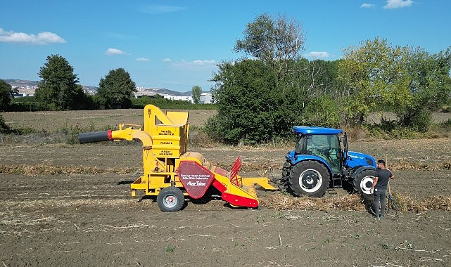 İnegöl’ün tescilli değeri Cerrah Kuru Fasulyesinde hasat başladı.