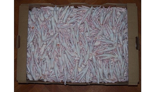 Türkiye’de kuş gribi vakasının bulunmadığını bilimsel olarak kanıtlayan kanatlı sektörü,