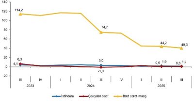 İstihdam endeksi yıllık %1,2 arttı    Sanayi, inşaat