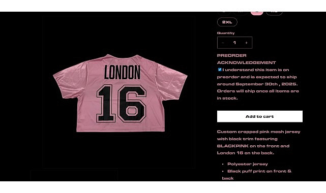 Dünya çapında ünlü K-pop grubu BlackPink’in turnesi sürerken, siber suçlular