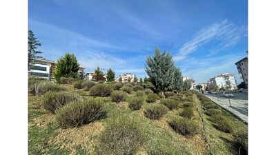 Malkara Belediyesi, kent genelinde daha yeşil ve daha estetik bir