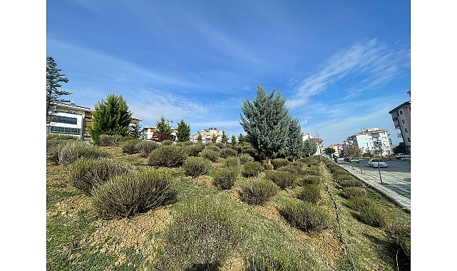 Malkara Belediyesi, kent genelinde daha yeşil ve daha estetik bir